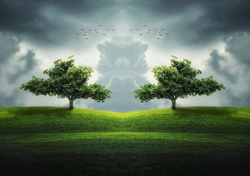 two trees