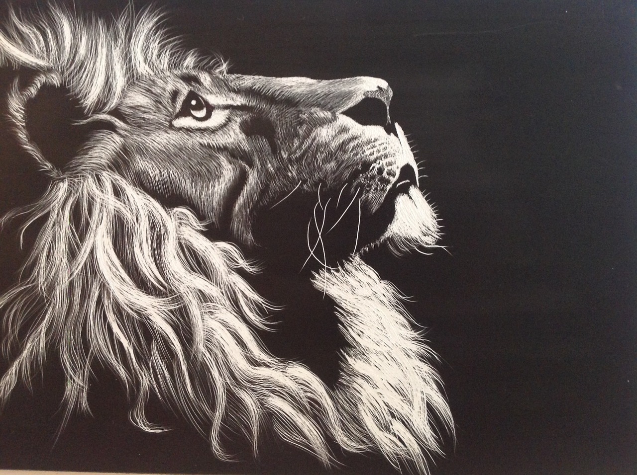 The King Is Coming