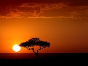 leave Kenya