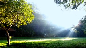Light