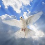 Holy Spirit