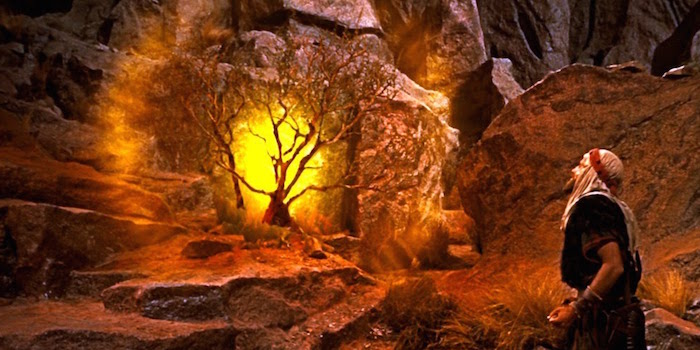 Are You a Burning Bush?