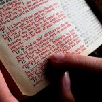 Bible Bible