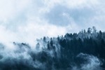 fog