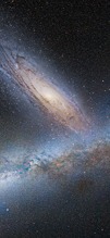 stars