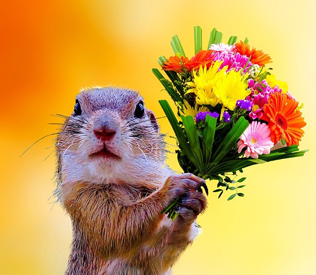 gratitude