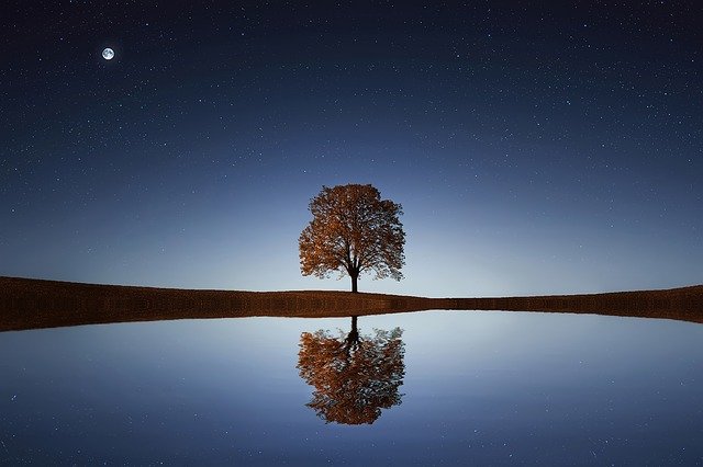 evening revelation